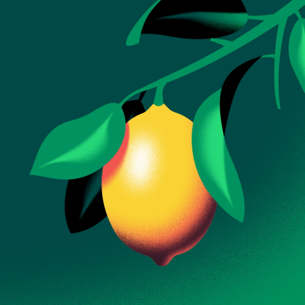 a fresh lemon illustration